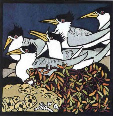Crested Terns